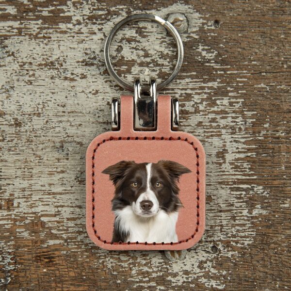 sleutelhanger border collie hondenras