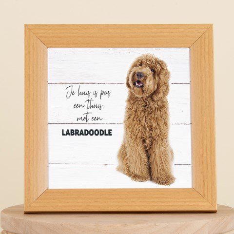 kadertje - tekstbord - je huis is pas een thuis met een labradoodle